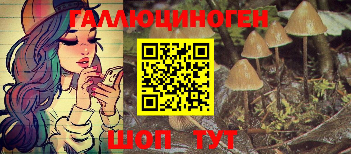 Кириши  Псилоцибиновые грибы Magic Shrooms  Галлюциногенные грибы мицелий  Вход с VPN 